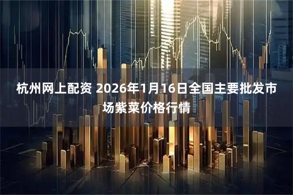 杭州网上配资 2026年1月16日全国主要批发市场紫菜价格行情