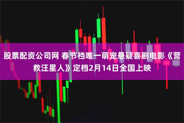 股票配资公司网 春节档唯一萌宠悬疑喜剧电影《营救汪星人》定档2月14日全国上映