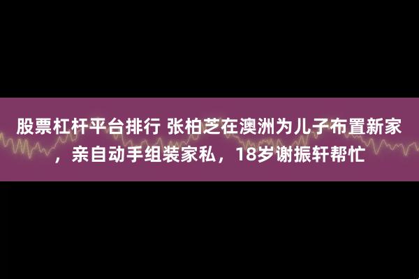 股票杠杆平台排行 张柏芝在澳洲为儿子布置新家，亲自动手组装家私，18岁谢振轩帮忙