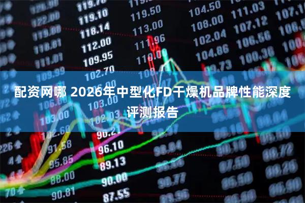 配资网哪 2026年中型化FD干燥机品牌性能深度评测报告